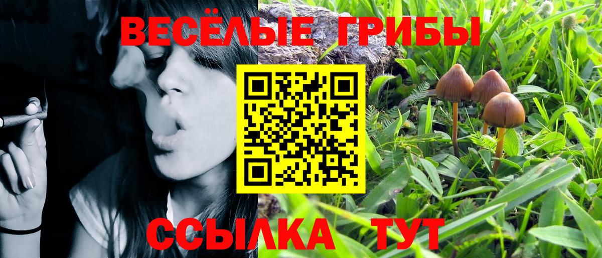 Азов  Псилоцибиновые грибы Psilocybine cubensis  Вход с VPN  продажа наркотиков  Псилоцибиновые грибы Psilocybine cubensis 